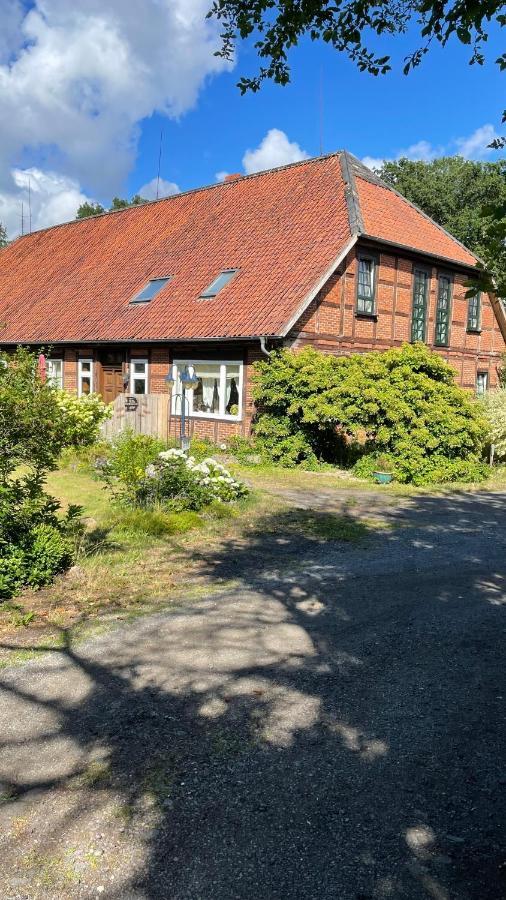 Apartmán Hof Dueshop Bad Fallingbostel Exteriér fotografie