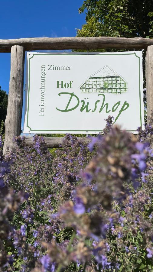 Apartmán Hof Dueshop Bad Fallingbostel Exteriér fotografie