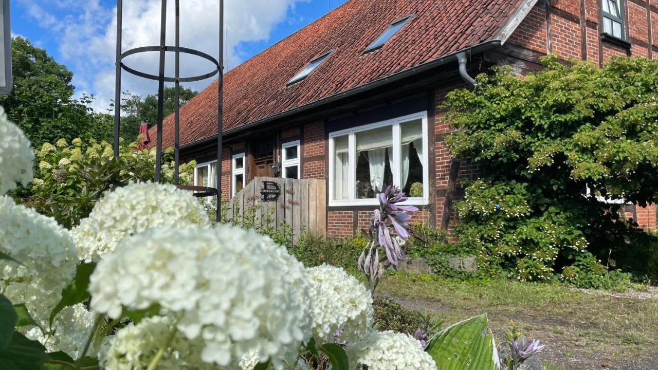 Apartmán Hof Dueshop Bad Fallingbostel Exteriér fotografie