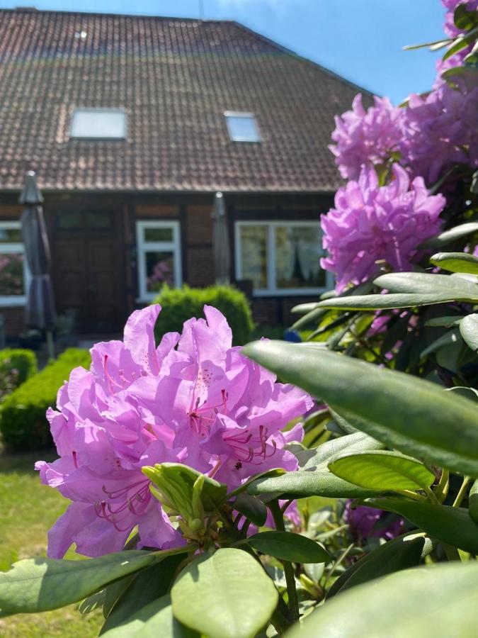 Apartmán Hof Dueshop Bad Fallingbostel Exteriér fotografie